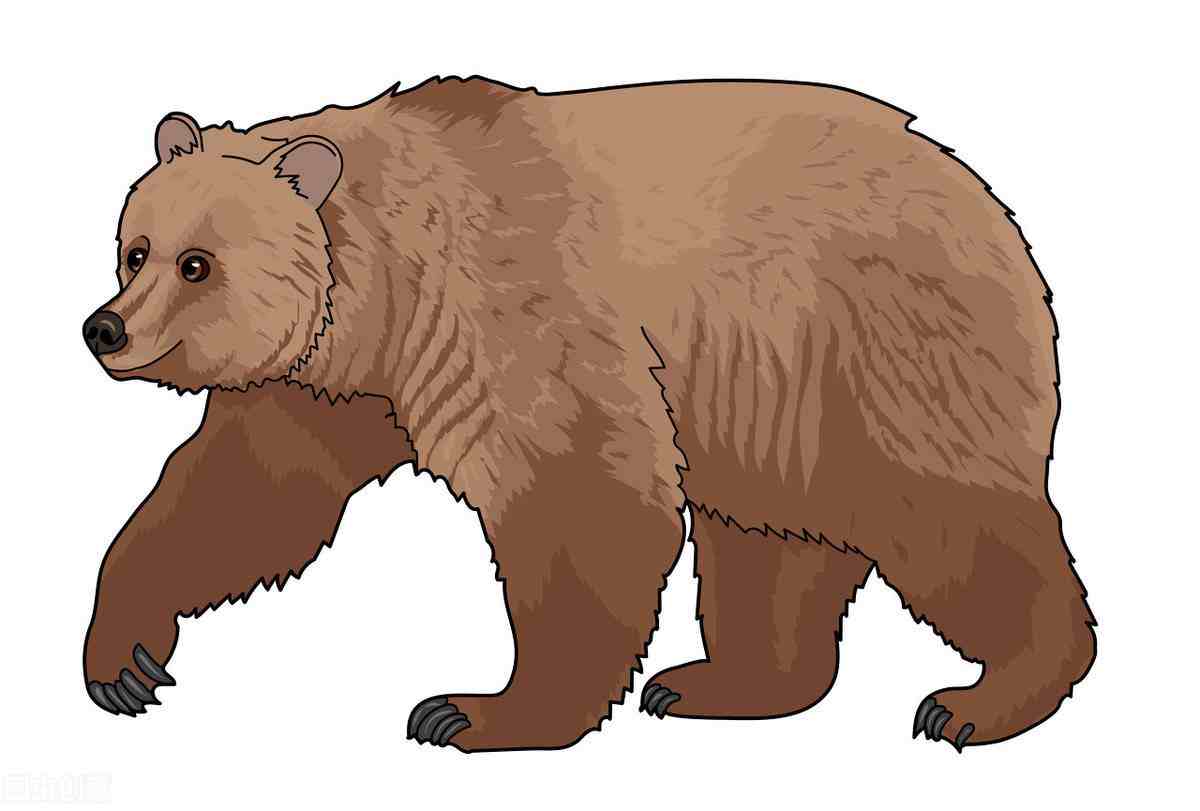 bare 和 bear 哪个才是熊的意思