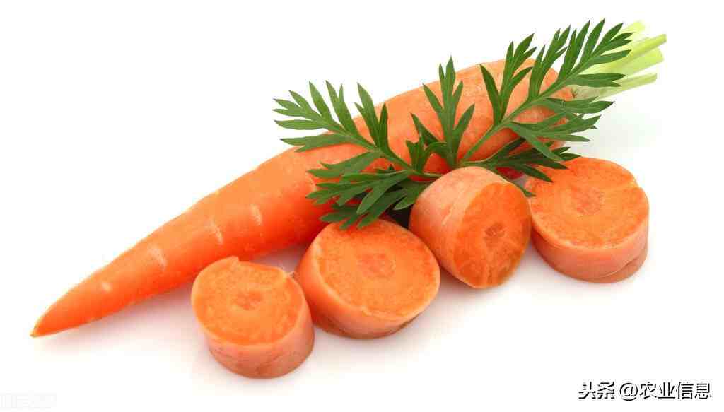 胡萝卜营养成分和健康益处