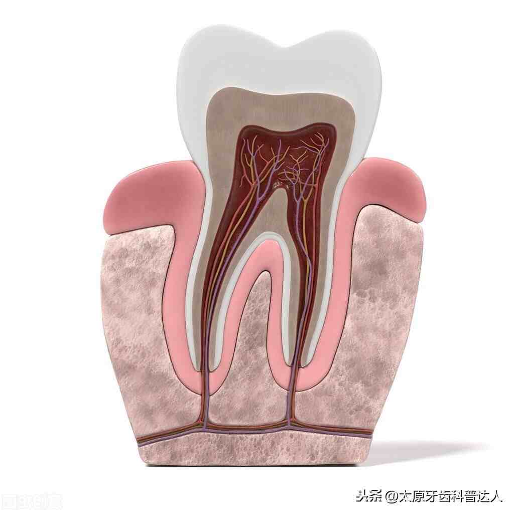 如果確診為牙髓炎,應當配合醫生的安排進行治療.