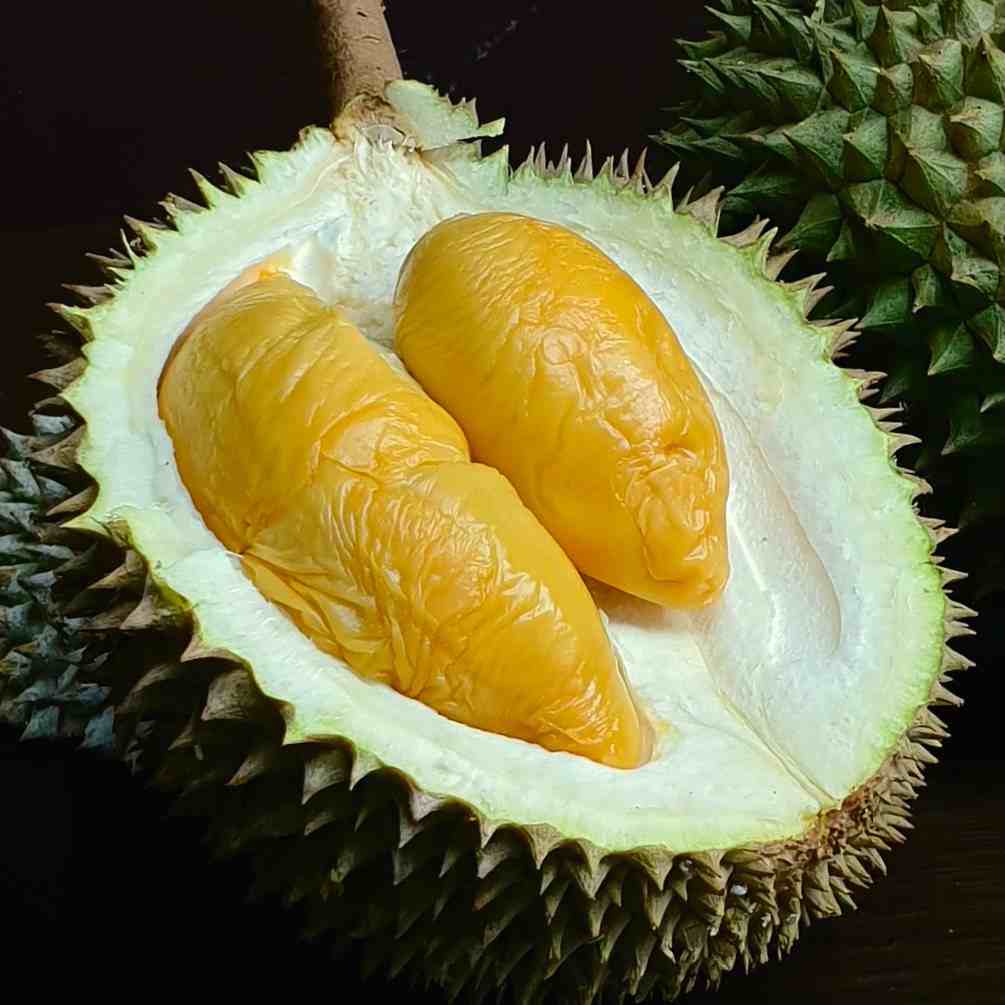 马来西亚十大最受欢迎的榴莲品种