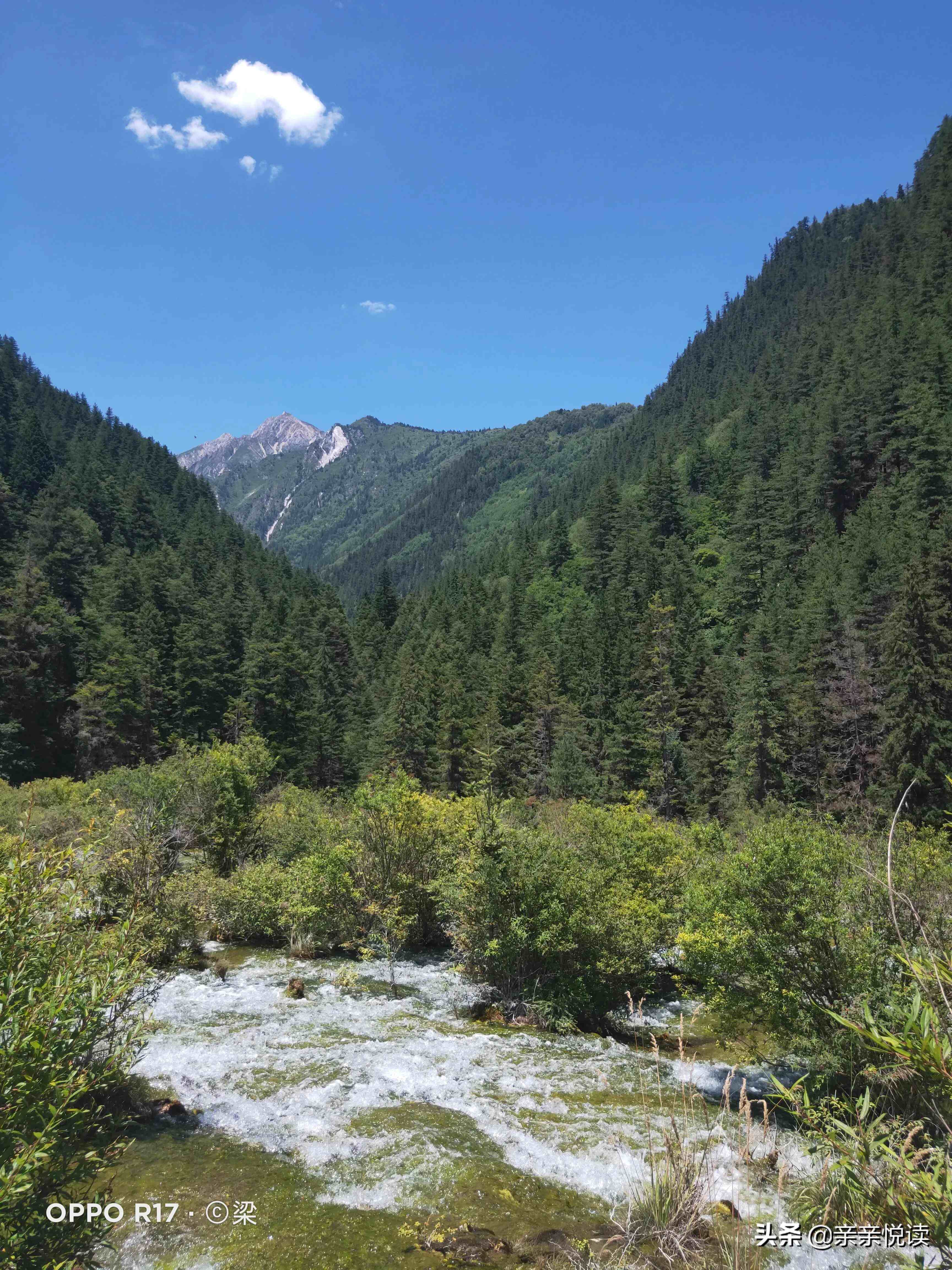 河山之旅神奇九寨沟