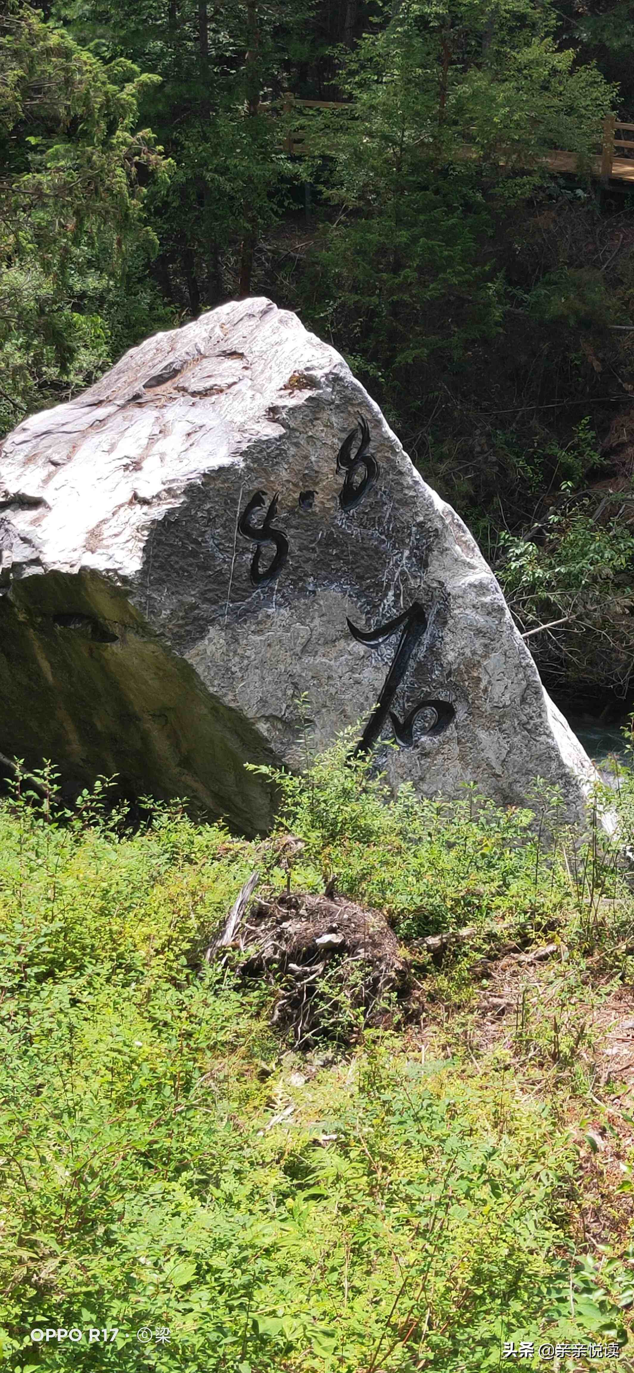 河山之旅神奇九寨沟