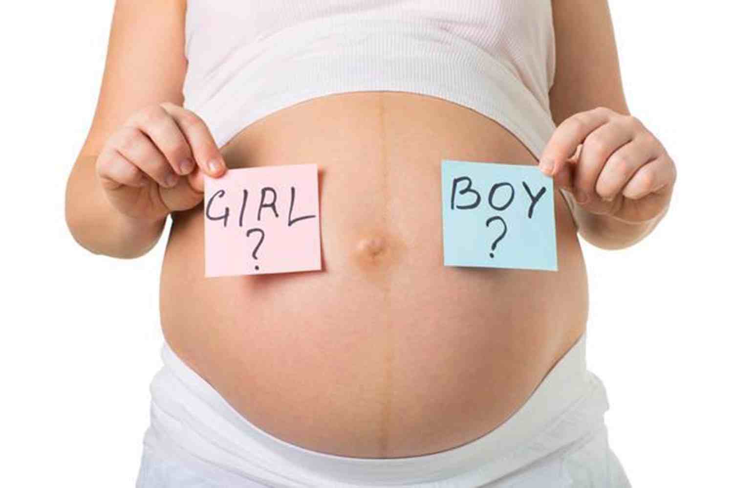 腹中胎儿是男是女，早在此周就已经确定，不会再改变了