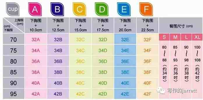 胸abcd分别是多大图片