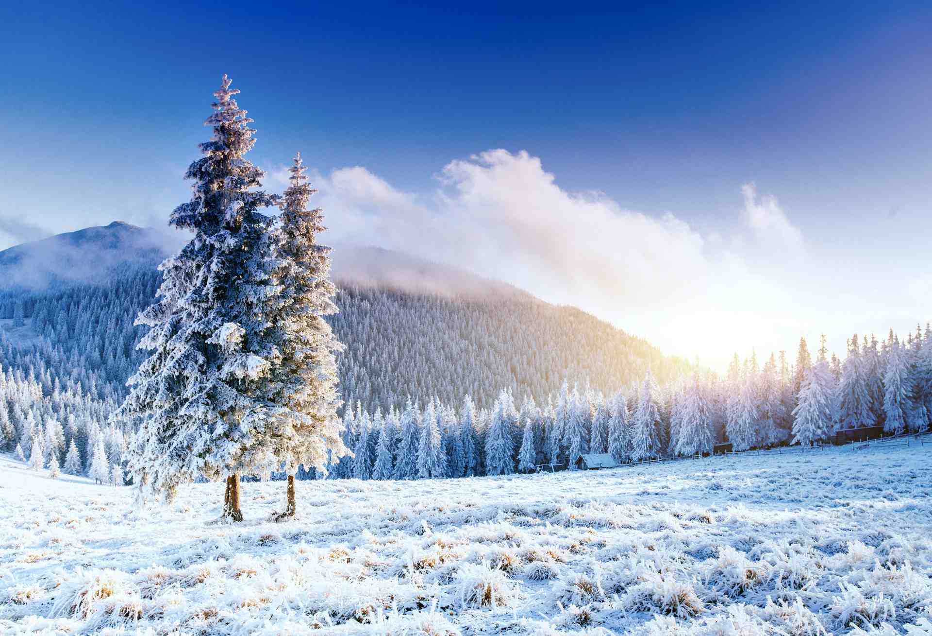 关于冬天的诗你了懂吗？