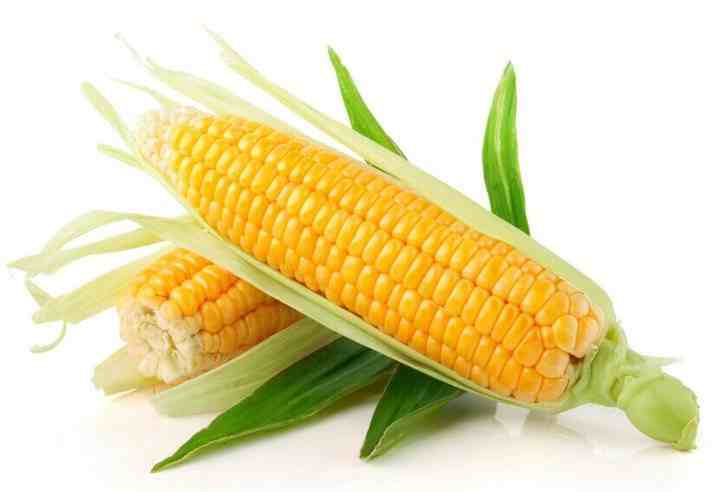 玉米营养丰富，常吃益寿又健身