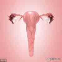 女人保养卵巢的方法（女人该如何保养卵巢？）