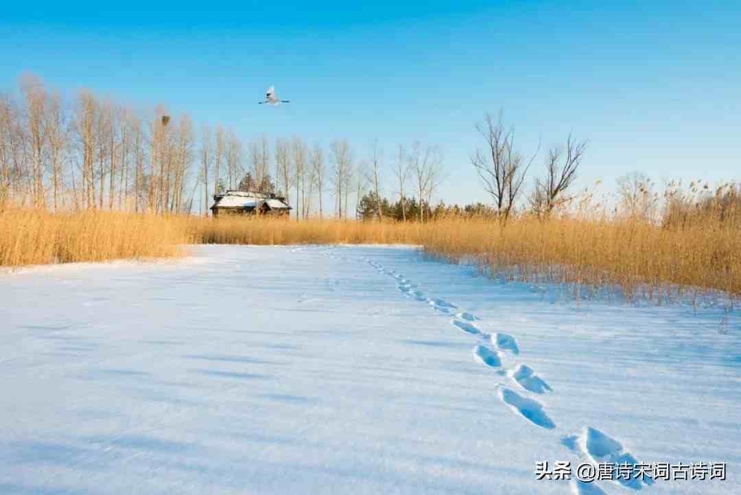 咏雪名句怎样，咏雪名句好吗