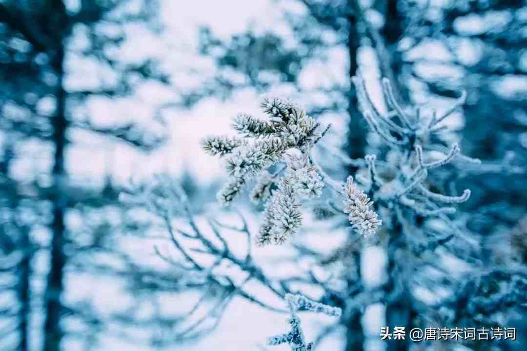 咏雪名句怎样，咏雪名句好吗