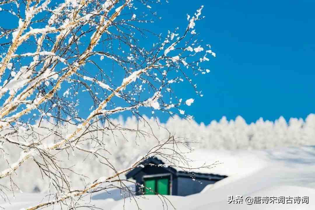 咏雪名句怎样，咏雪名句好吗