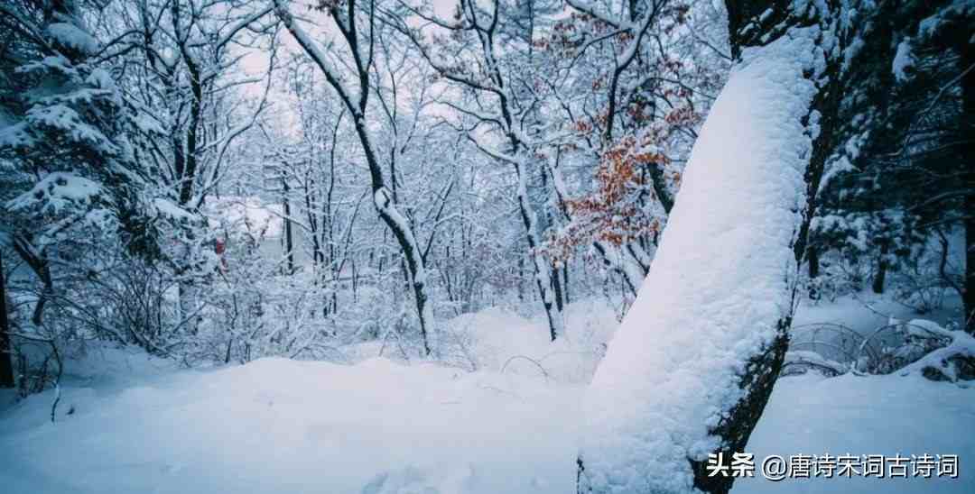 咏雪名句怎样，咏雪名句好吗