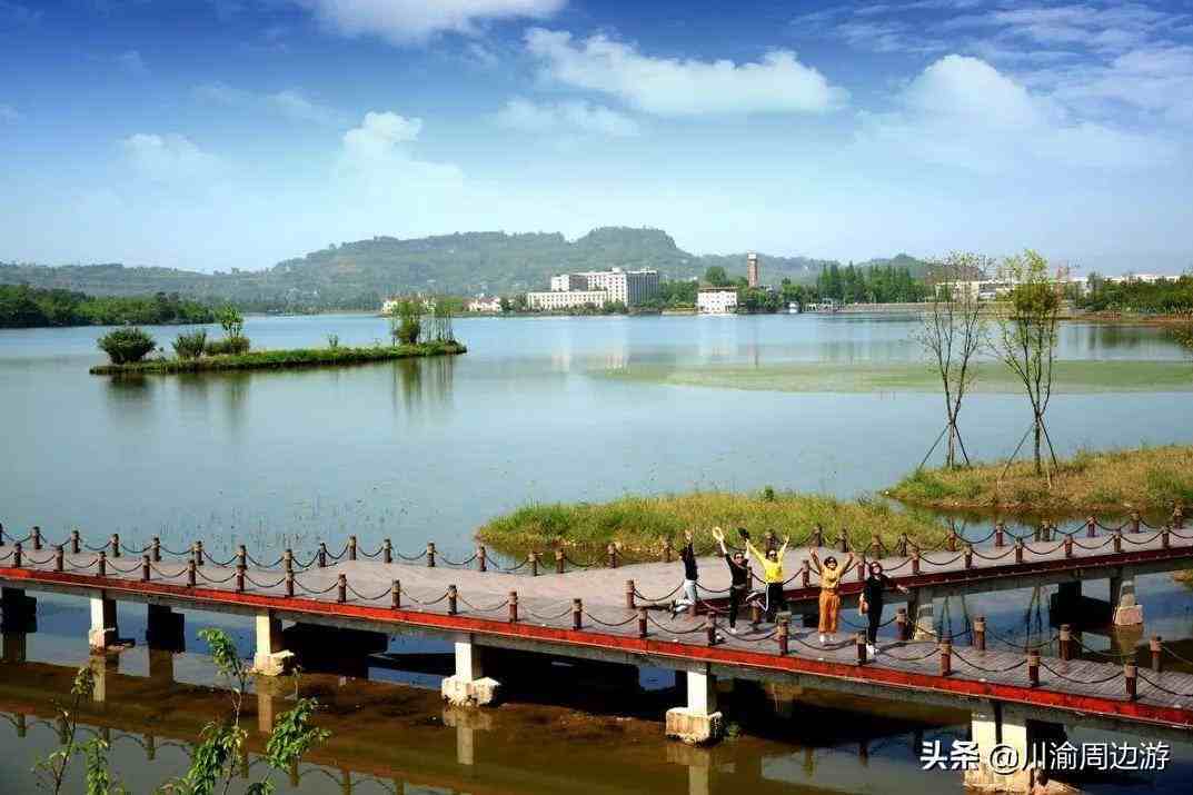 重庆5个最美湿地公园，适合周末1日游，全部都免费