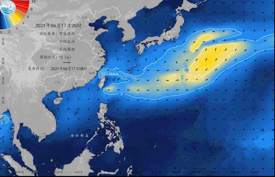 章鱼照片解释