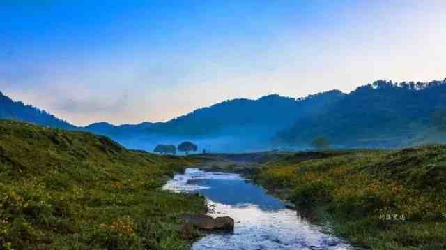 鮮花四野藍藍的天空,蜿蜒的溪流,奔馳的駿馬關山草原旅遊景區瞭解一下