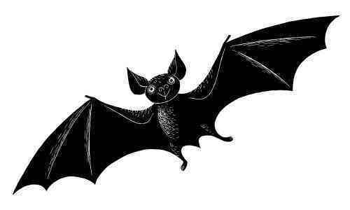 建筑上雕刻蝙蝠的寓意（吉祥图之&ldquo;蝙蝠&rdquo;的寓意和象征）