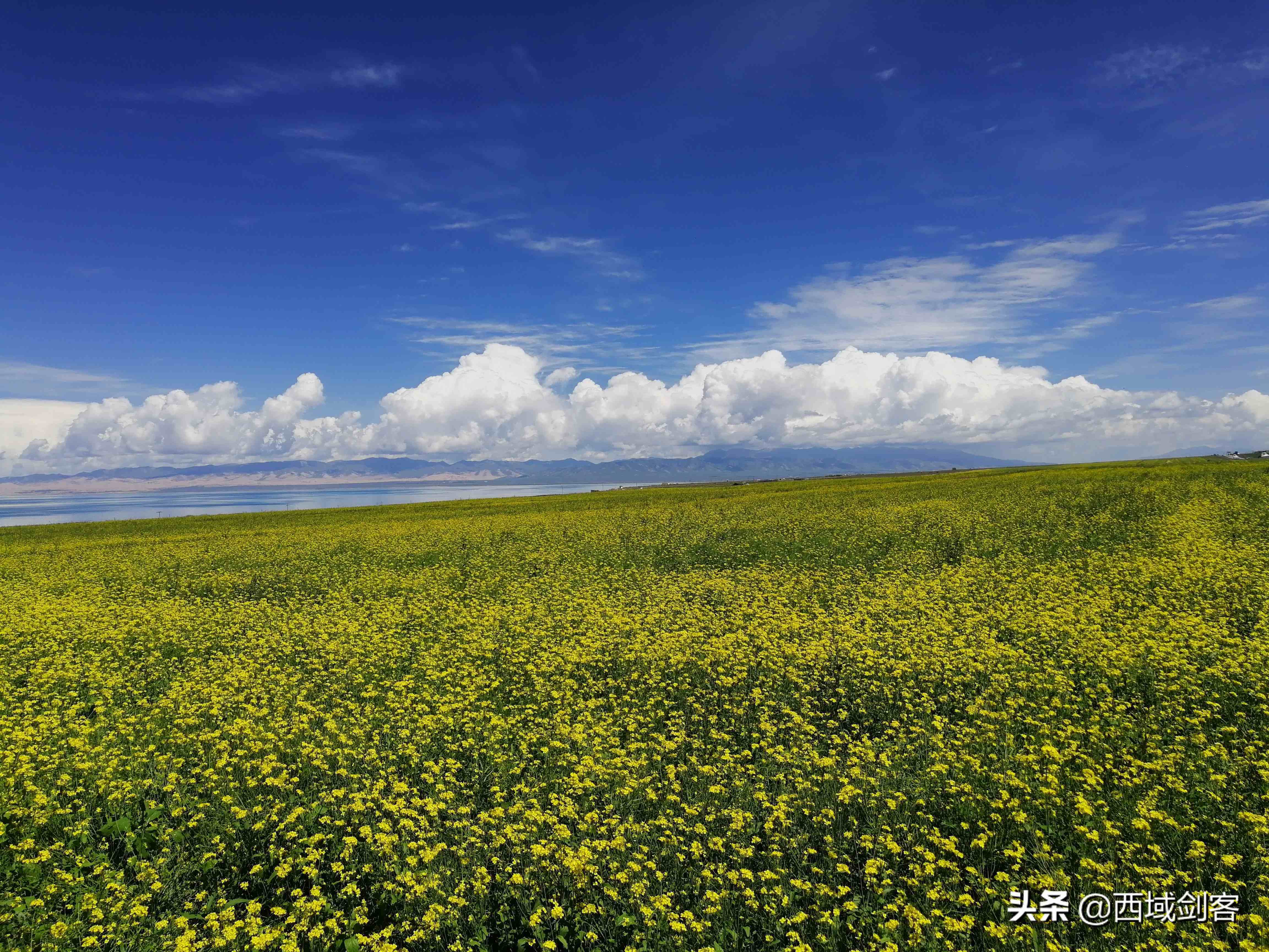 青海湖简介（中国最大的内陆湖-青海湖）