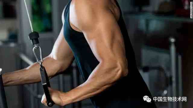 锻炼肌肉（为什么运动可以锻炼肌肉？）