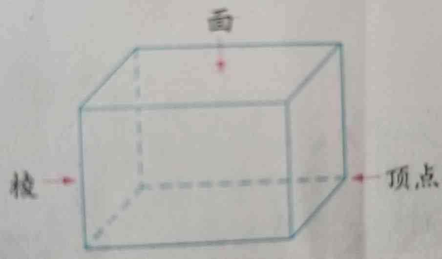 长方体表面积公式（长方形的表面积怎么算）
