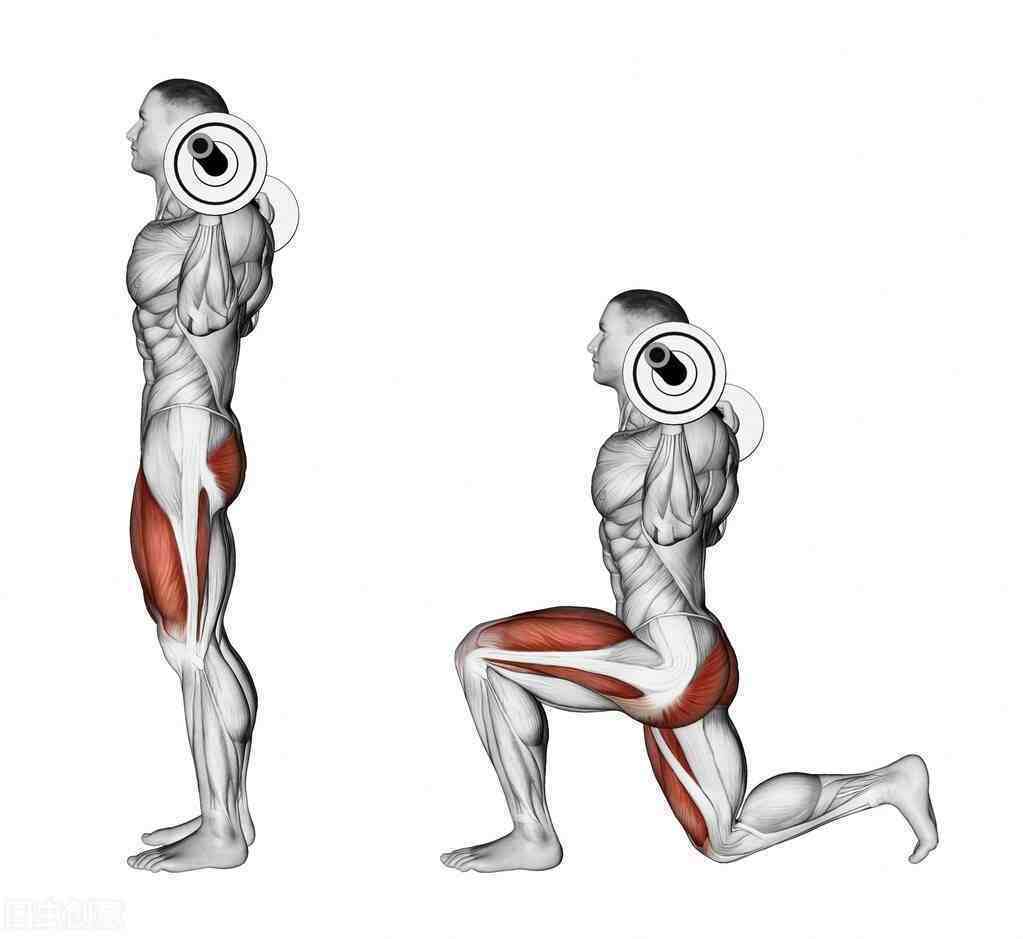 腿部肌肉锻炼（5个腿部训练方法）