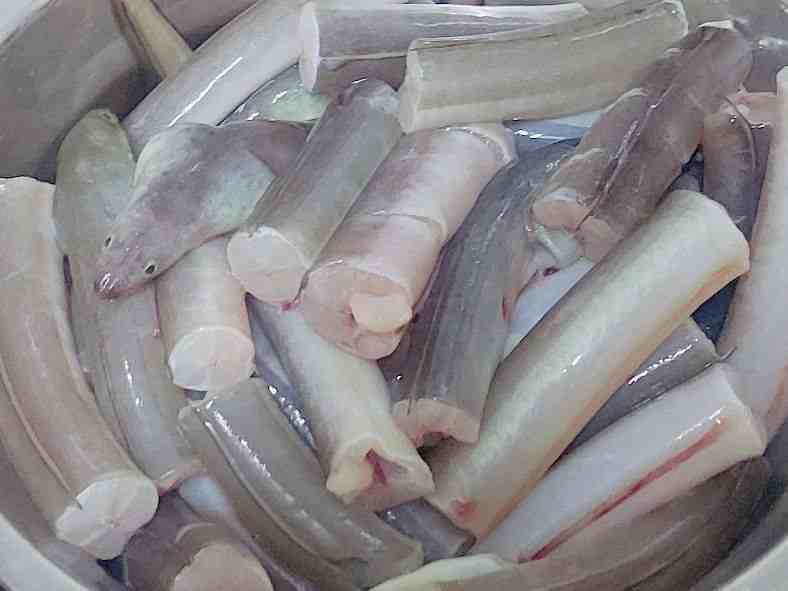 海鳗鱼（海鳗如何做起好吃）