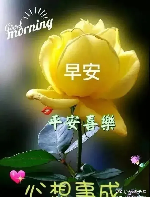 问候的短信(微信日常祝福语短信大全)