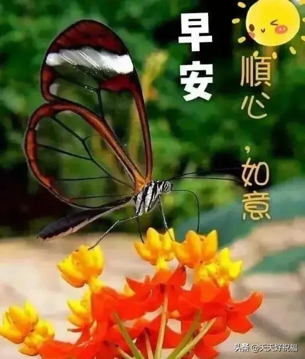 问候的短信(微信日常祝福语短信大全)