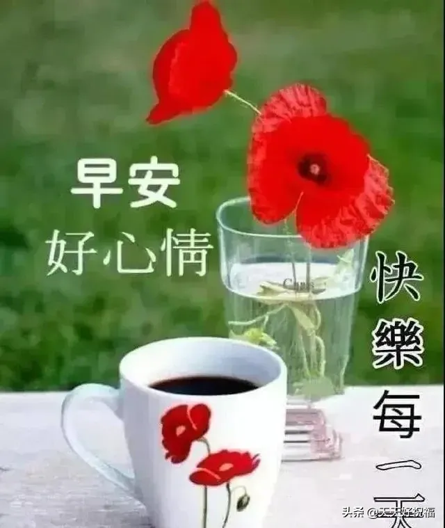 问候的短信(微信日常祝福语短信大全)