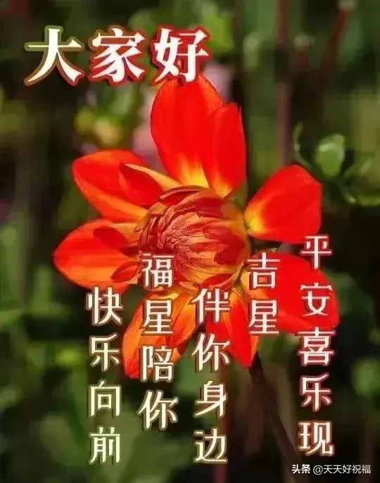 问候的短信(微信日常祝福语短信大全)