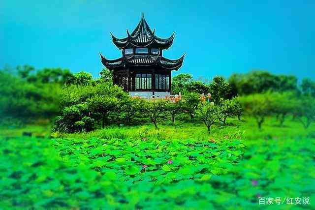 奉贤海湾森林公园（上海海湾国家森林公园）