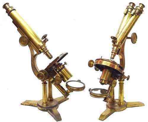 显微镜是谁发明的（是谁发明了显微镜）