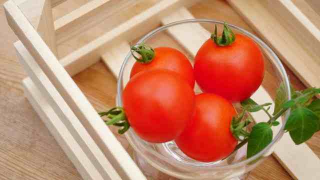 怎样吃西红柿减肥（如何吃西红柿来帮助你减肥）