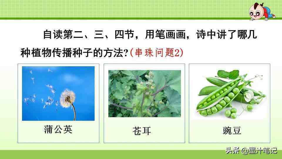 植物靠什么传播种子二年级(植物靠什么传播种子二年级仿写)