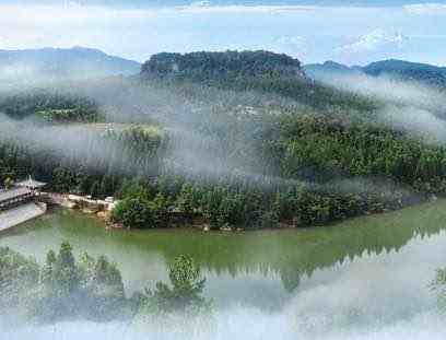 新成果！四川启用森林资源管理“一张图”