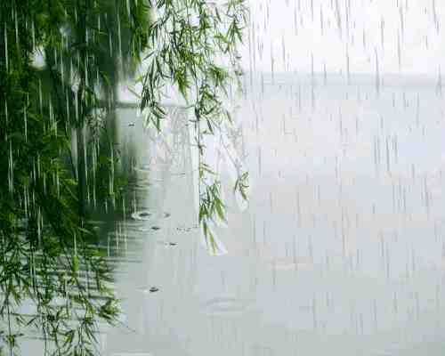 习诗录:好雨知时节，当春乃发生