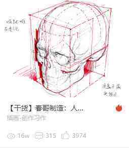 大神的人体结构图，太强了