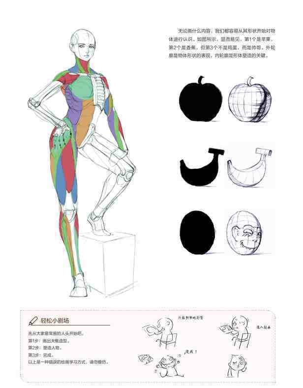 大神的人体结构图，太强了