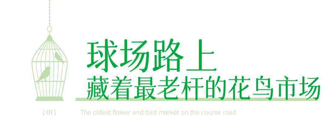 承包武汉老杆回忆的花鸟市场，现在怎么样了？