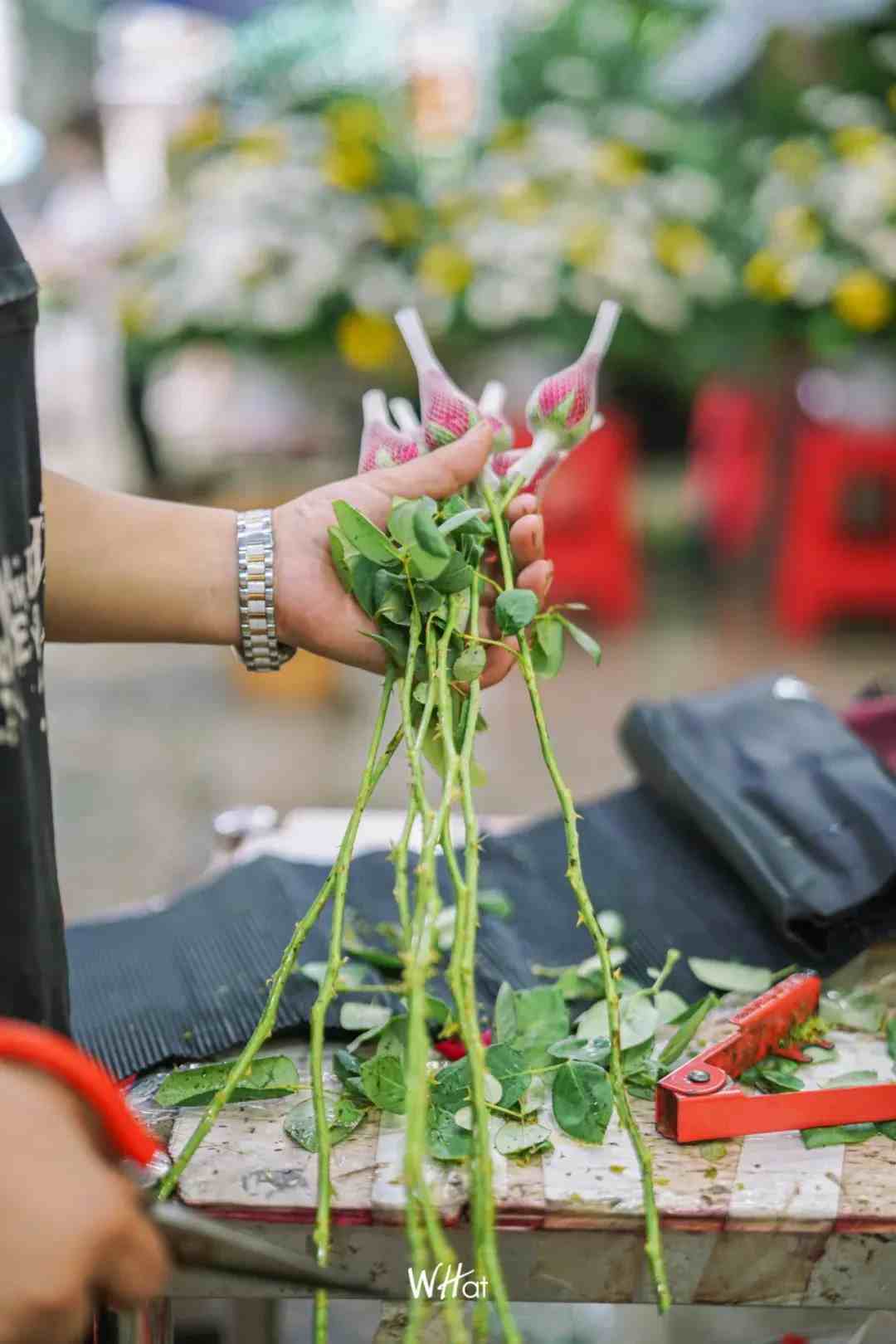 承包武汉老杆回忆的花鸟市场，现在怎么样了？