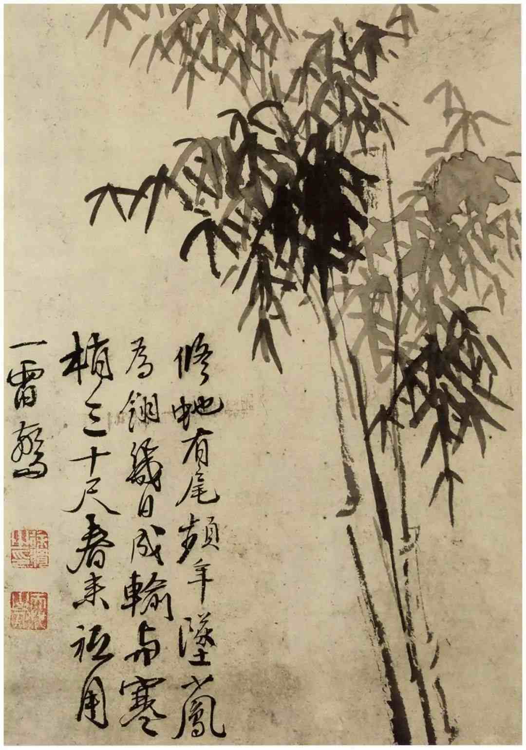 天池道人：徐青藤笔下的竹子