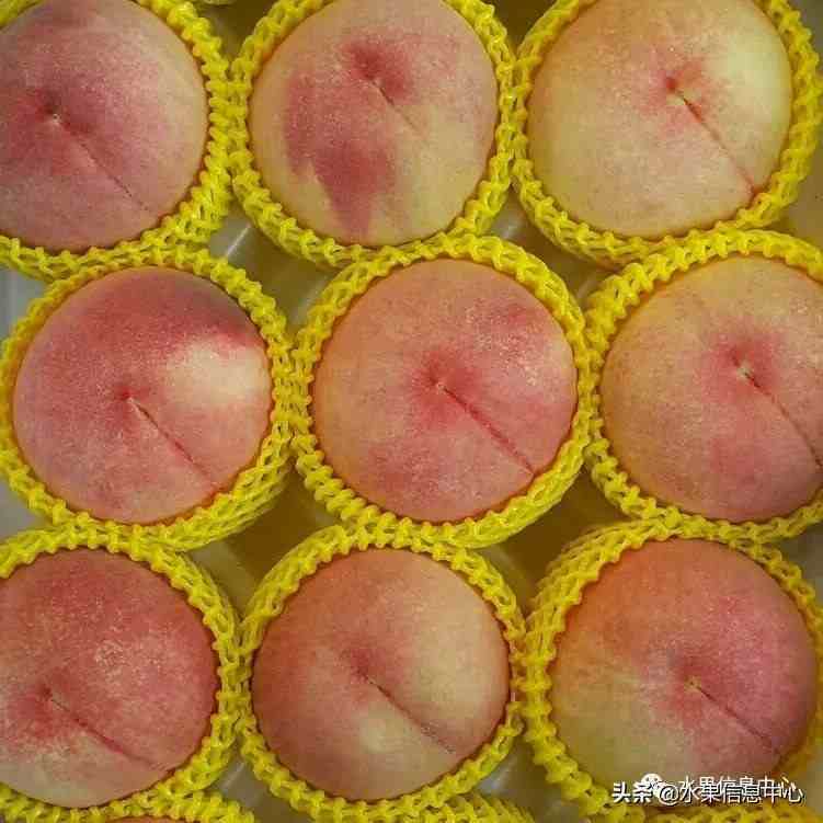 中国常见水蜜桃产地品种及上市时间
