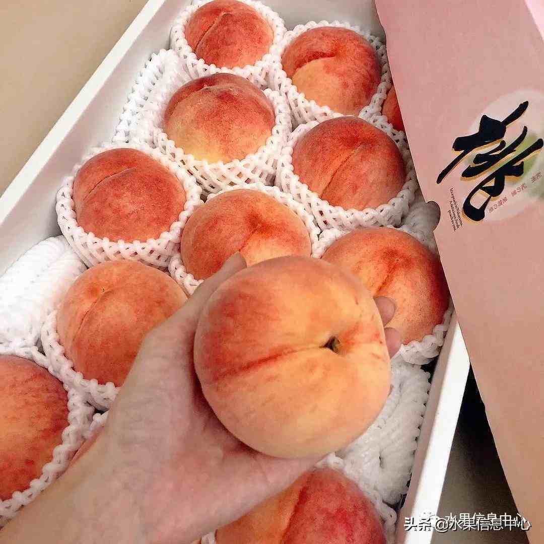 中国常见水蜜桃产地品种及上市时间
