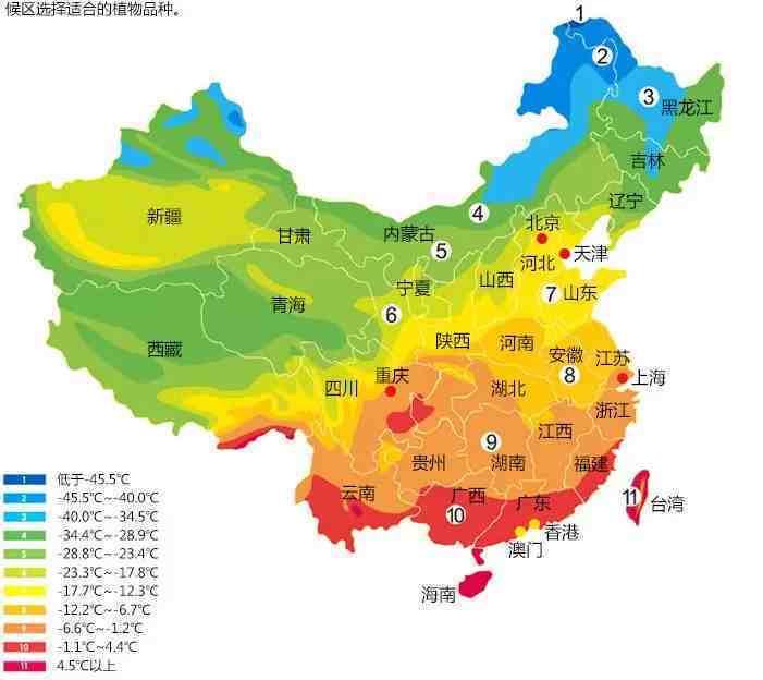 中國耐寒區位圖適宜氣候區:7區-10區5栽植養護重點 planting