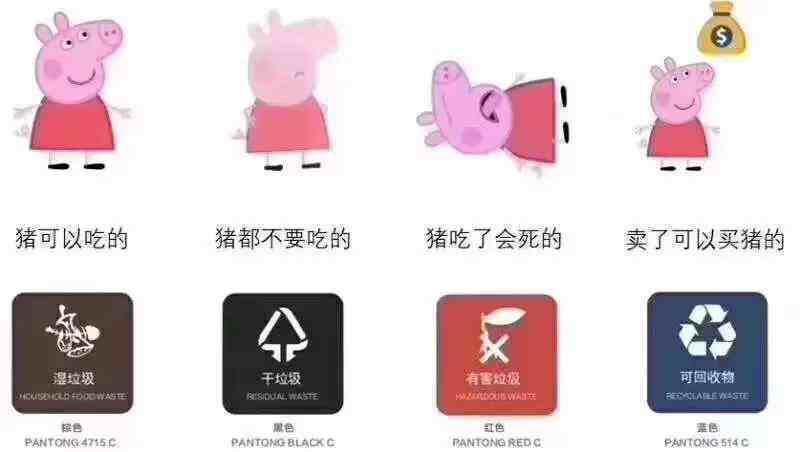 上海垃圾分类的10个事实