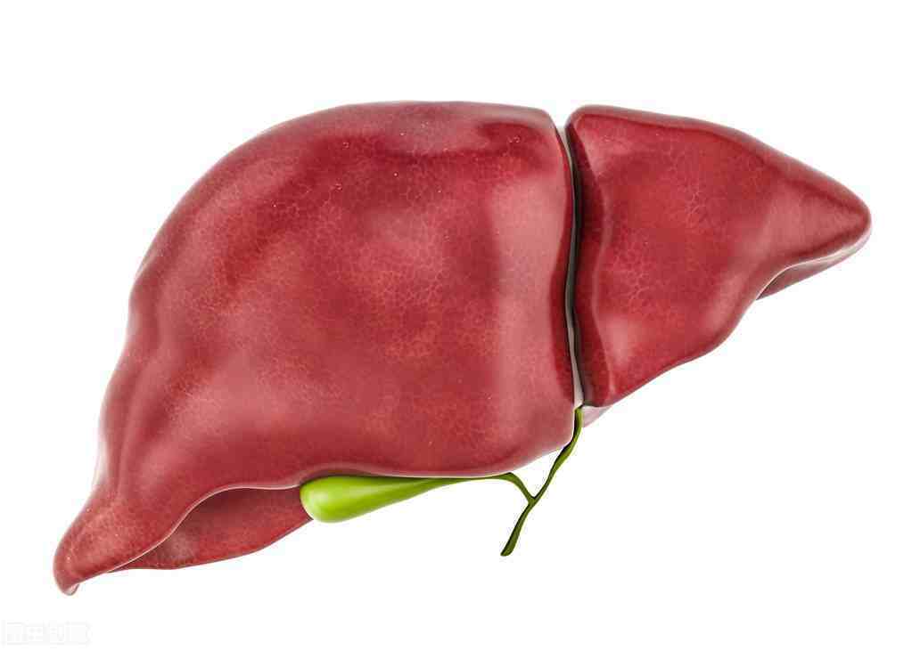 肝脏不好的症状有哪些？如何正确调理？早了解早预防