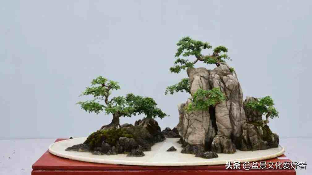 中国山水盆景真是太美了