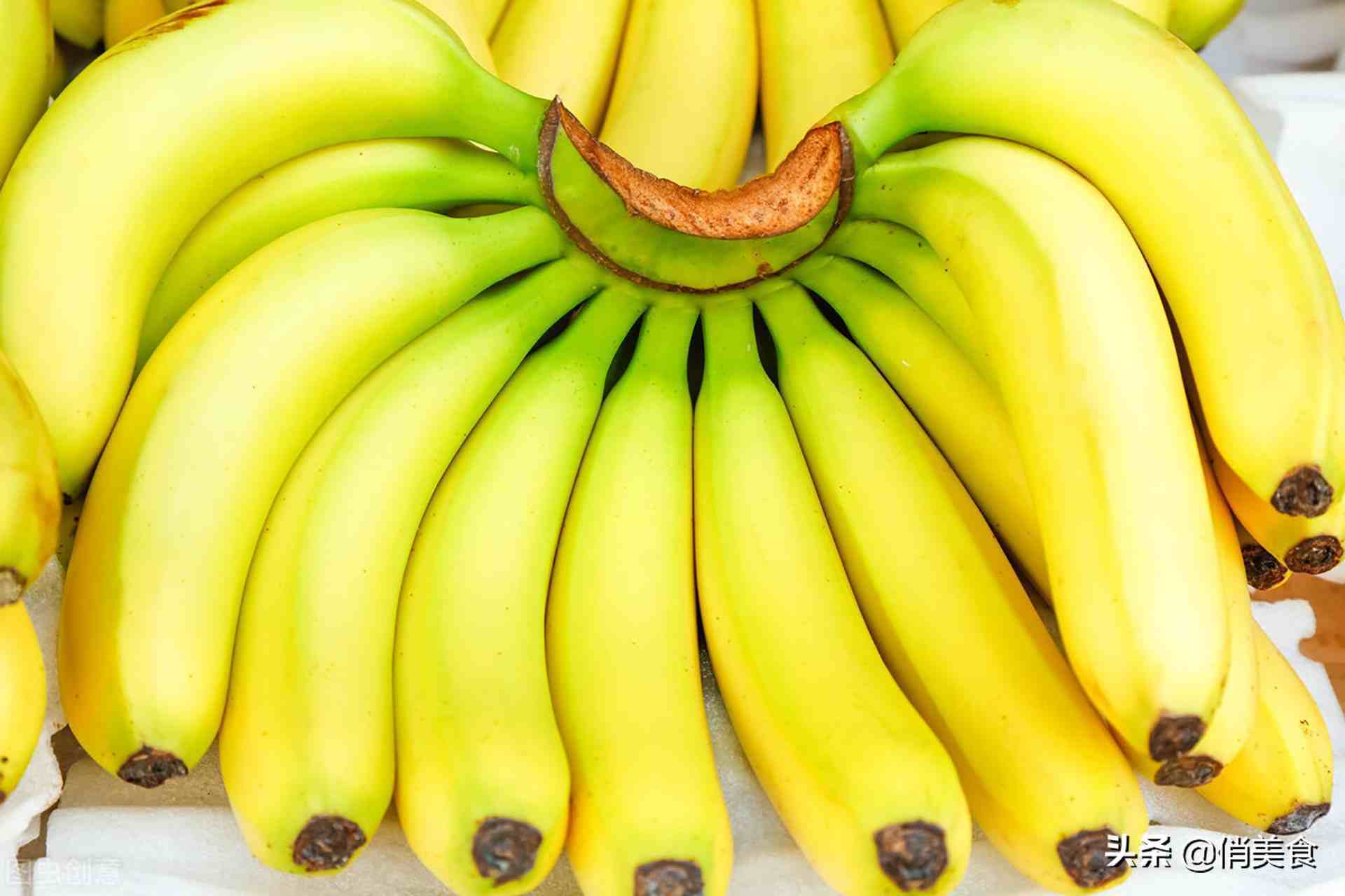 芭蕉香蕉（便秘吃芭蕉好还是香蕉好）