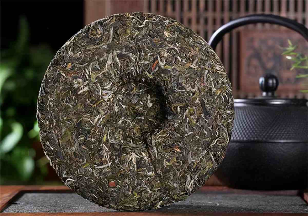 普洱茶属于什么茶(普洱茶到底属于哪种茶？)
