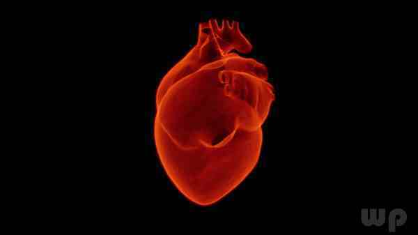 什么症状应该怀疑是心脏病？14种水果护心