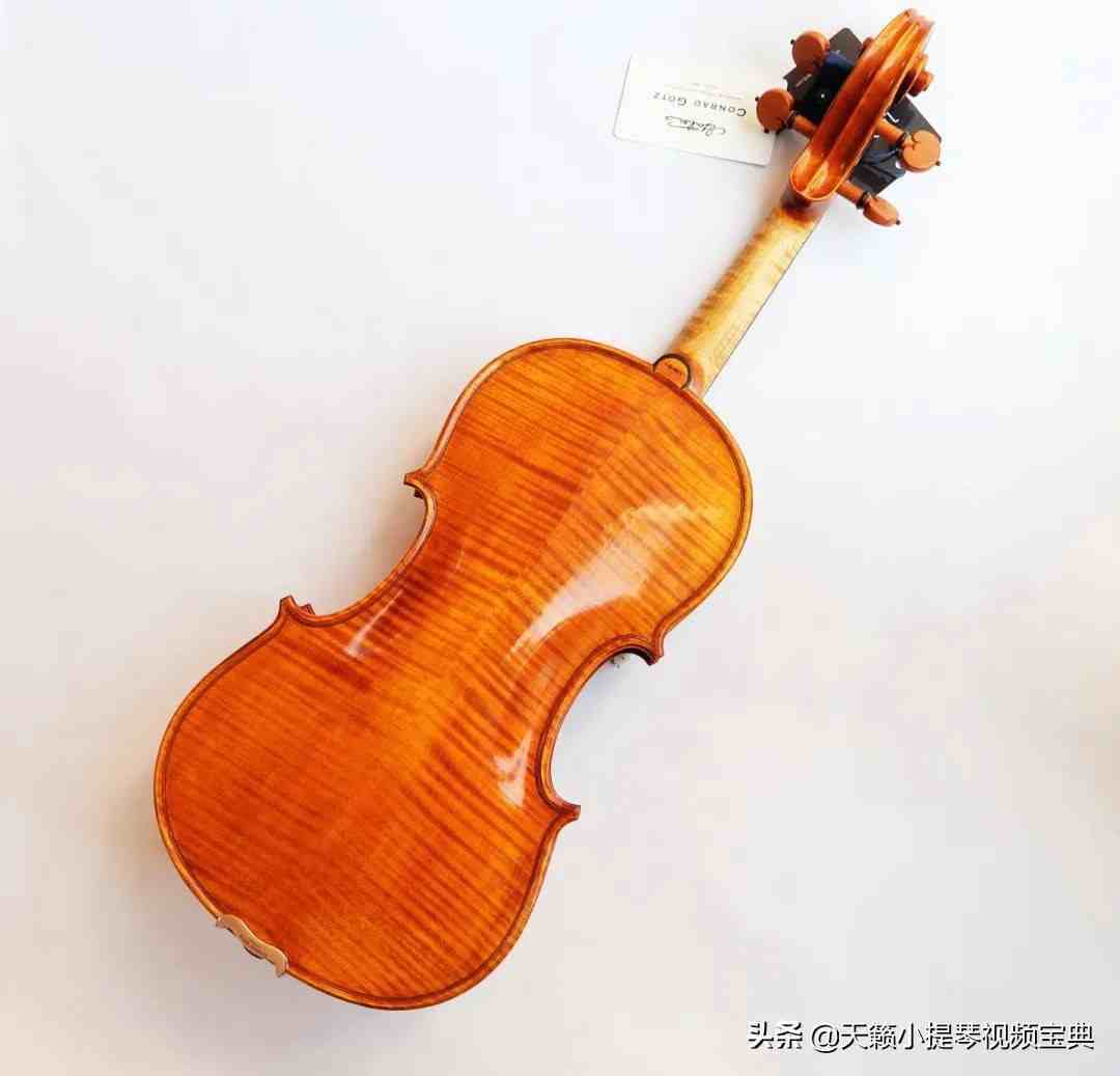 小提琴的价格（世界上最贵的小提琴多少钱？）