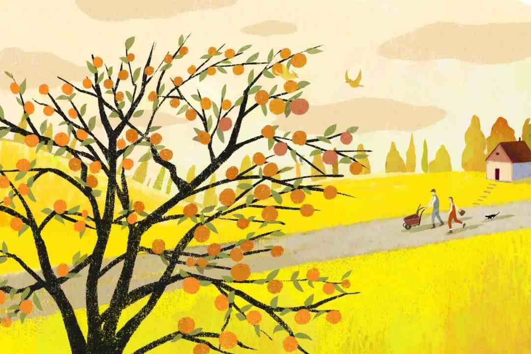 30个静美悠闲的秋天诗句，最适合今天分享到朋友圈